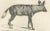 Mid 19th Century C.C. G. Zool., The Striped, Spotted, and Brown Hyenas in Detail, 1836, Lithograph For Sale - Image 5 of 11