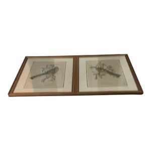 Chelsea House Framed Bird Prints Under Glass Set of Three