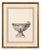 Neoclassical Set of Six Neoclassical Style Etchings After Carlo Antonini. Italy, 20th Century For Sale - Image 3 of 11