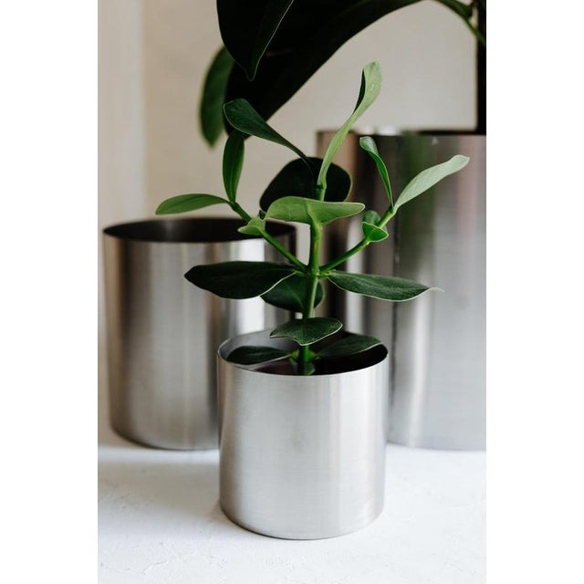 Large Loto Planter in Stainless Steel by Form & Eisen For Sale - Image 10 of 18
