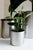 Large Loto Planter in Stainless Steel by Form & Eisen For Sale - Image 10 of 18