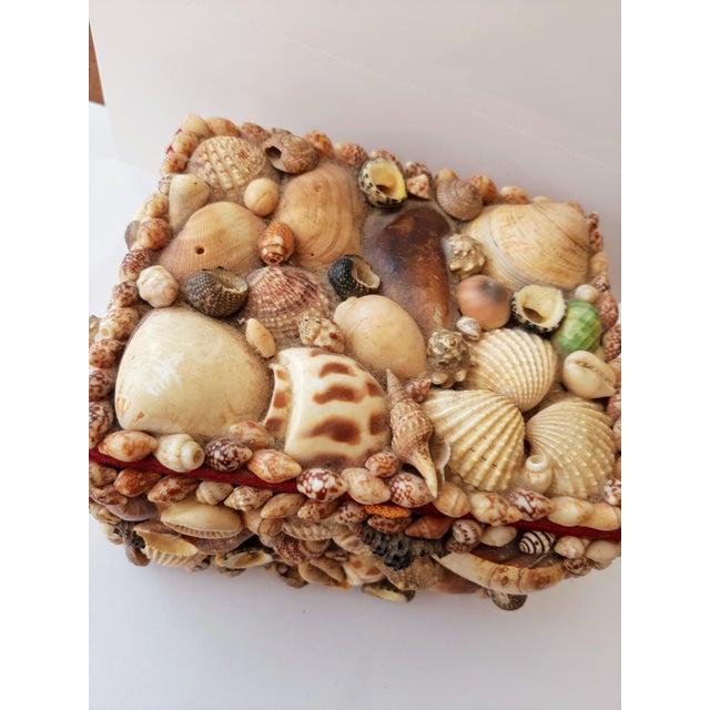 Vintage Coastal Encrusted Shell Box For Sale - Image 12 of 12