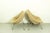 Cream Vintage Oyster Chairs by Pierre Paulin for Artifort, 1960s, Set of 2 For Sale - Image 8 of 16