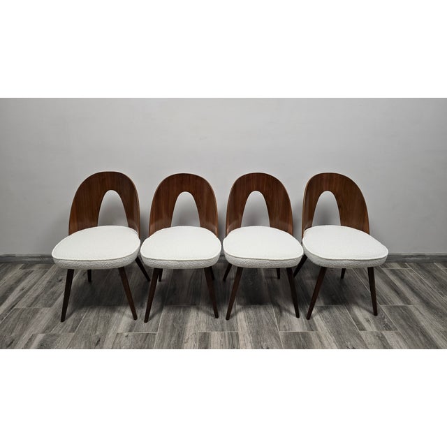 White Dining Chairs from Antonin Suman, 1960s, Set of 4 For Sale - Image 8 of 10