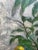 Antique Oak Hand-Painted 3-Panel Screen For Sale - Image 4 of 12