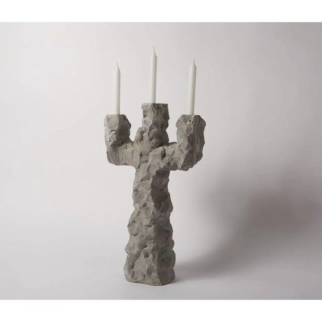 Contemporary Cactus by Room-9 For Sale - Image 3 of 4