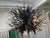 David Iatesta Palmier Chandelier Showroom sample! This is a showroom sample, still in the line. Finaih - Avezzano Bronze...