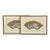 Set of Two Framed 19th Century Japanese Fans For Sale