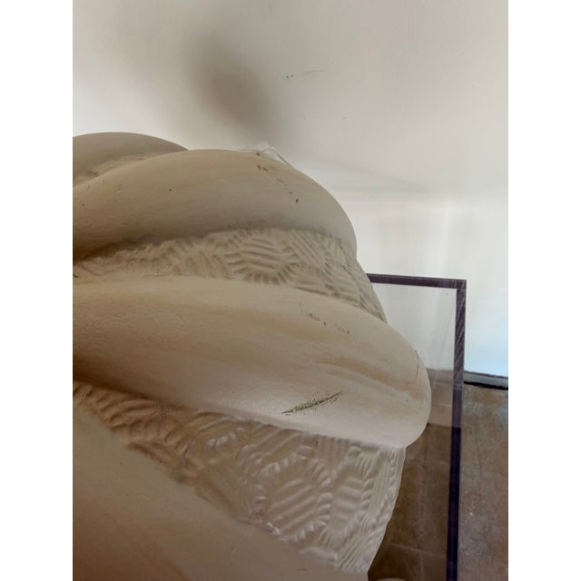 Arteriors Home Arteriors White Sea Urchin Shell Sculpture (Large) For Sale - Image 4 of 4