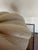 Arteriors Home Arteriors White Sea Urchin Shell Sculpture (Large) For Sale - Image 4 of 4