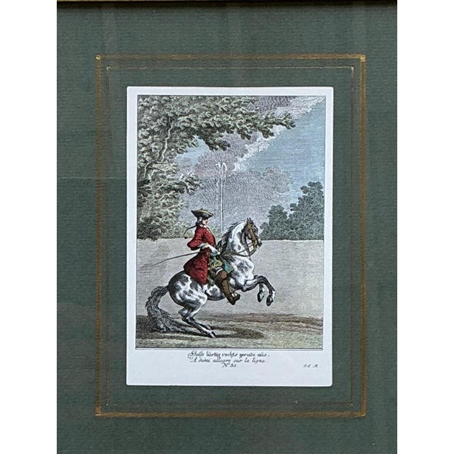 Vintage Equestrian Engravings in Gilt Frames - Set of 6 For Sale - Image 10 of 13