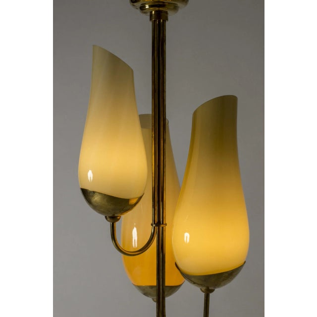 1940s Brass and Glass Chandelier by Gunnel Nyman & Paavo Tynell For Sale - Image 5 of 10