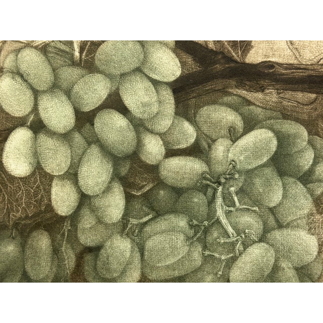 Green G H Rothe Grapes Art Hand Signed Limited Edition 1983 on Paper Fruits Original For Sale - Image 8 of 8