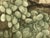 Green G H Rothe Grapes Art Hand Signed Limited Edition 1983 on Paper Fruits Original For Sale - Image 8 of 8