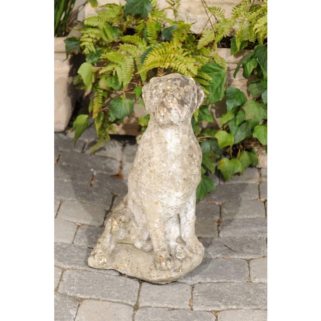 French Vintage French Stone Sculpture of Dog in Sitting Position from the 1920s-1940s For Sale - Image 3 of 10