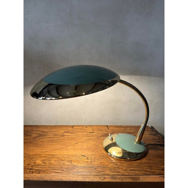 Green Gooseneck Table Lamp from Hala, 1950s For Sale - Image 8 of 11