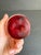 Plastic Mid Century Lucite Egg Paperweight Mushroom Tree Resin Art Bubbles Vintage Red Base For Sale - Image 7 of 10
