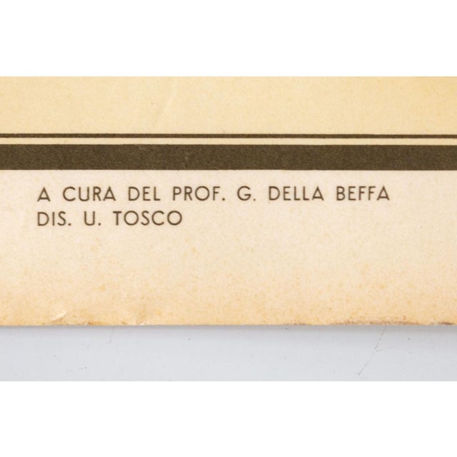 Educational Poster Depicting Fish from G.B. Paravia Torino, 1959 For Sale - Image 8 of 9