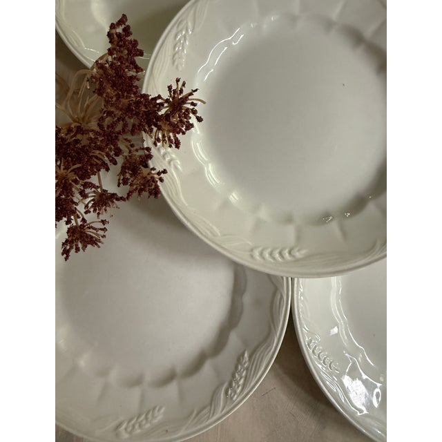 1950s 1950s Set of Five (5) Royal Crownford Wheat Ironstone 8” Plates, Made in England, Embossed White Ironstone Dinnerware For Sale - Image 5 of 8