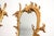 19th Century Antique French Carved Gilt Wood Mirrors, 1850, Set of 2 For Sale - Image 5 of 11