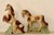 Mid 20th Century Mid-Twentieth Century Brazilian Ceramic Horse Figurines, a Pair For Sale - Image 5 of 11