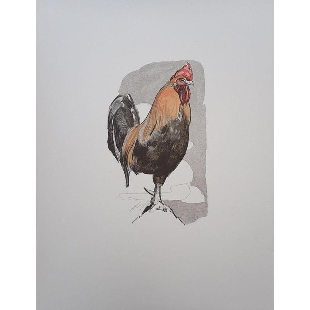 Modern Paul Jouve, The Rooster, Wood Engraving For Sale - Image 3 of 4