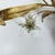 Mid-Century Crystal Flower Bouquet Wall Sconce in the style of Banci, 1970s For Sale - Image 12 of 18