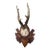 Roe Deer Trophy 147 Black Forest Antlers For Sale