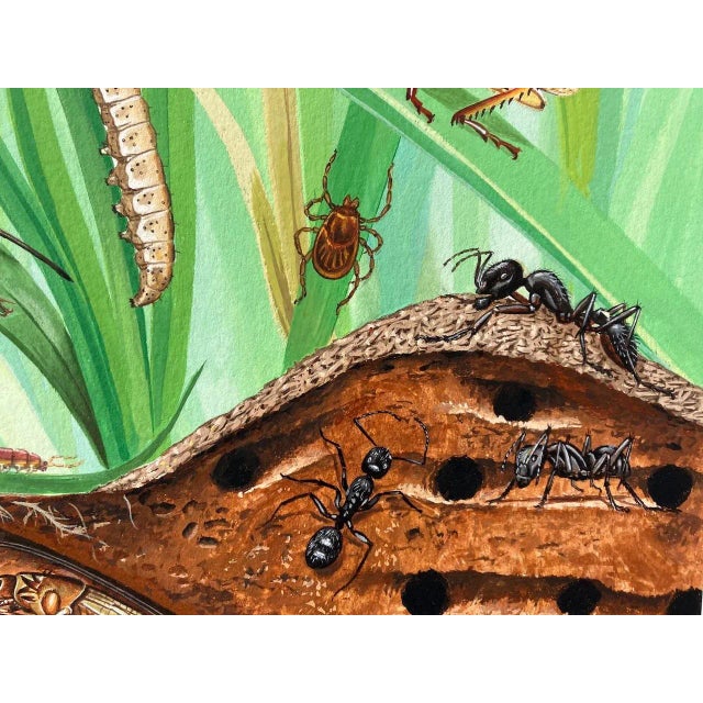 Green Original Ecotoxicology Illustration "Creepy Crawly Pop-Art" Circa 1981 Bugs Insects For Sale - Image 8 of 9