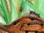 Green Original Ecotoxicology Illustration "Creepy Crawly Pop-Art" Circa 1981 Bugs Insects For Sale - Image 8 of 9