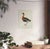 Illustration William Lewin 1789 Waterbirds Fine Art Gallery Board Print - The Red Breasted Goose For Sale - Image 3 of 11