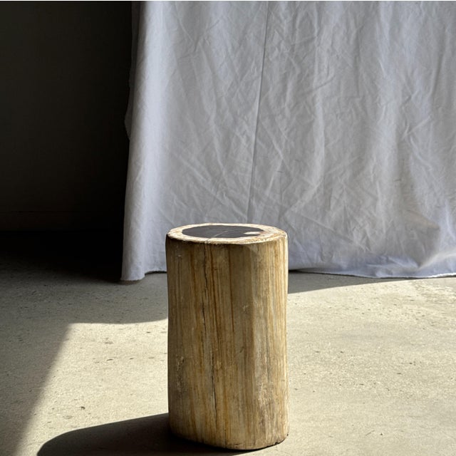 1980s Side Table in Petrified Wood, Black Heartwood and White Bark, 1980s For Sale - Image 5 of 18