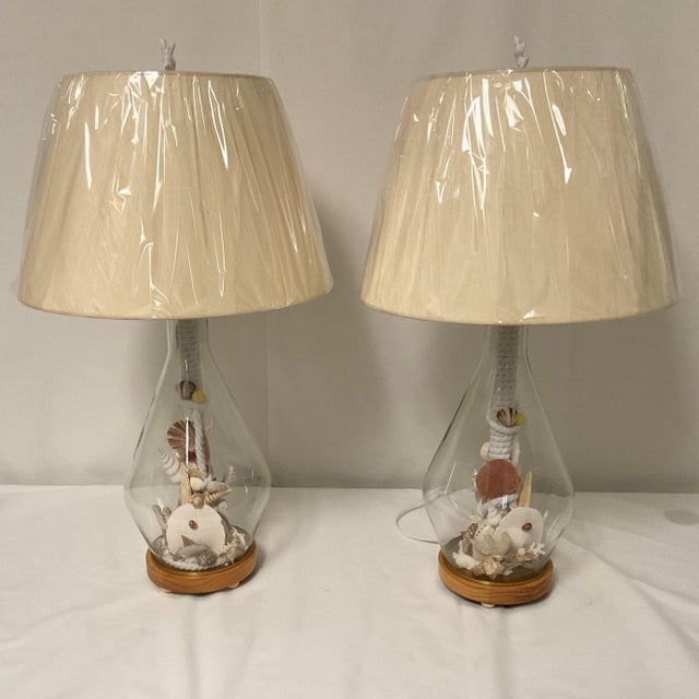 Glass Custom Made Natural Sealife Lamps in Glass - a Pair For Sale - Image 7 of 14