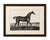 Antique thoroughbred stallion selim, arabian bloodlines, hullmandel c.1840 a distinguished nineteenth-century sporting...