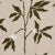 Traditional Schumacher Lilla Embroidery Fabric in Olive on Neutral For Sale - Image 3 of 4