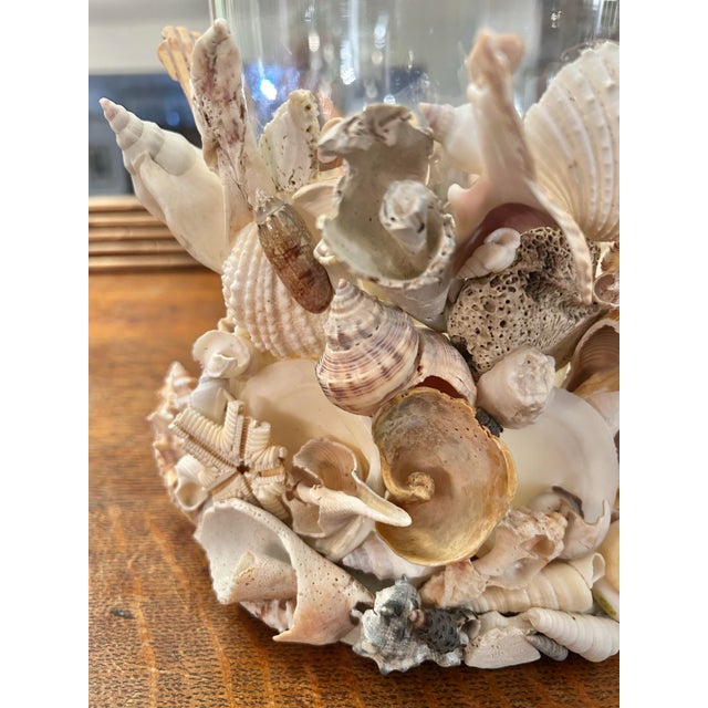 Wood Coastal Palm Beach Handcrafted Seashell Encrusted Glass Hurricane Candle Holder For Sale - Image 7 of 11