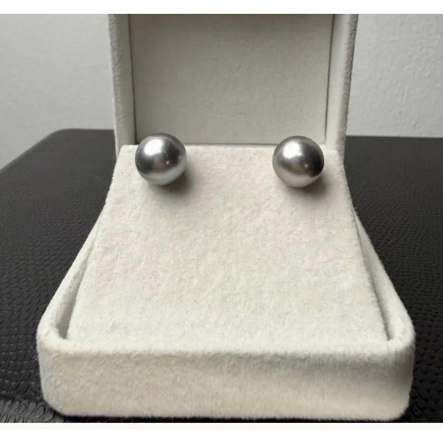 Modern 11 MM Tahitian Black Pearl Stud Earrings 14 Karat White Gold For Sale - Image 3 of 8
