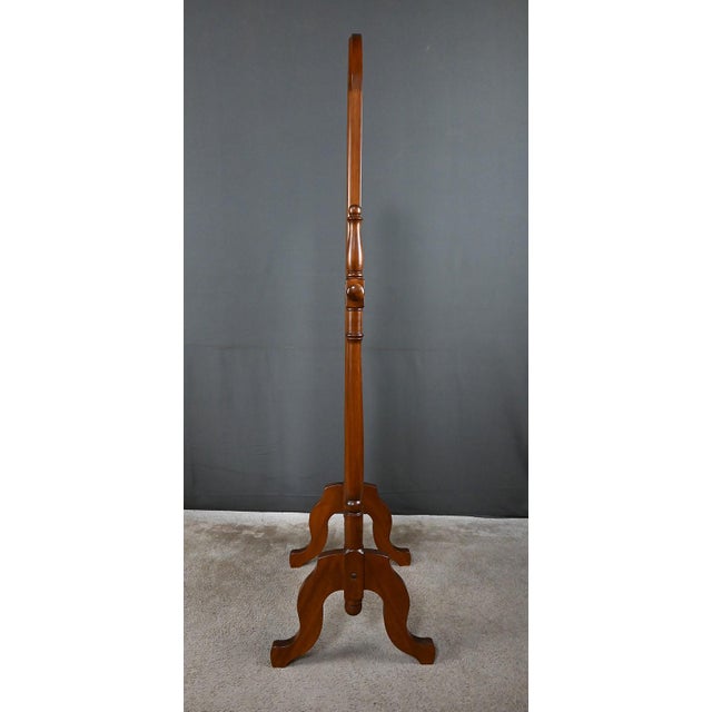 Brown Mahogany Psyche Part 2 Mirror, 20th Century For Sale - Image 8 of 16