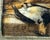 Paint Antique 1800s Realism William Cruikshank Hunting Trophy Rabbit Duck Oil Painting For Sale - Image 7 of 15