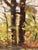 Impressionist Guy Carleton Wiggins (1883-1962), Trees in Landscape For Sale - Image 3 of 5