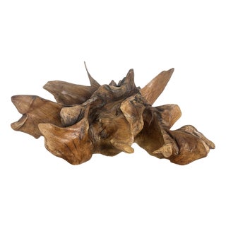 Large Natural Abstract Sculpture, 20th Century, Root Wood For Sale