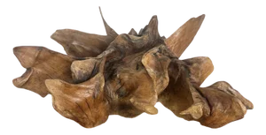 Large Natural Abstract Sculpture, 20th Century, Root Wood
