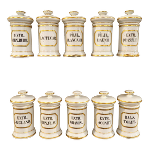Set of 10 French Hand Painted Porcelain Apothecary Jars, 1900s
