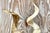 Vintage Boho Set of Single Antlers For Sale - Image 11 of 12