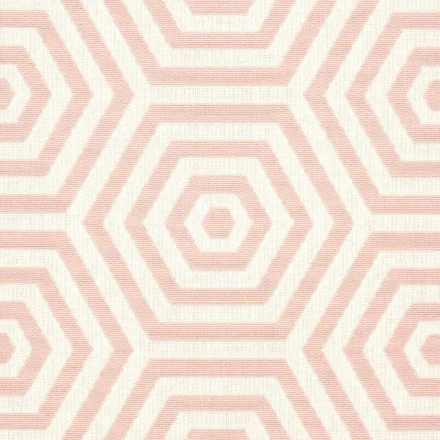 Traditional Sample - Schumacher Bees Knees Indoor/Outdoor Fabric, Petal For Sale - Image 3 of 4