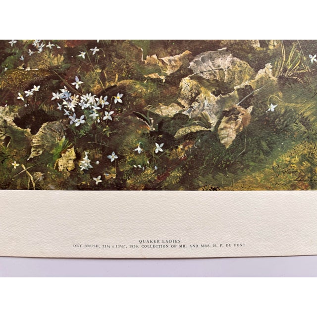 Greige Andrew Wyeth, Quaker Ladies or Bluets, 1962 Published Lithograph Print For Sale - Image 8 of 9