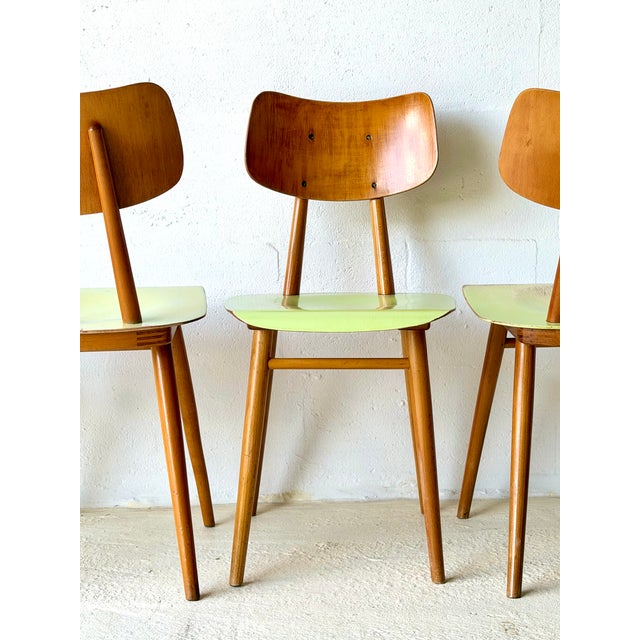 Bistro Chairs from Ton, 1960, Set of 4 For Sale - Image 18 of 18