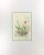Delicate watercolor painting of red, yellow, and orange tulips, c. 1980. Original artwork on paper displayed on a white...