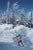 A skier in vermont 1962 by slim aarons slim aarons limited estate edition a skier at the stowe mountain resort, vermont,...