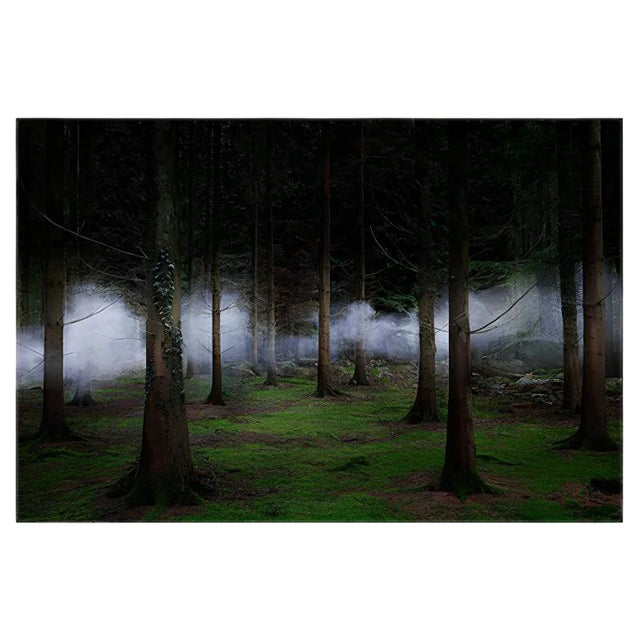 Between the Trees 2, Ellie Davies, 2014 For Sale